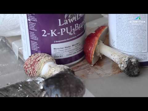 20 Jahre Kunst am Berg auf der Schmittenhöhe in Zell am See