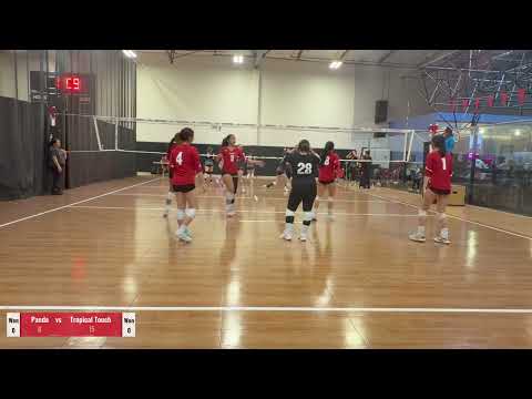 2026-02-15 Panda 17 Black vs Tropical Touch 17 Mata'ala