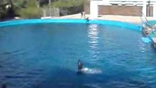 Oceanografic
