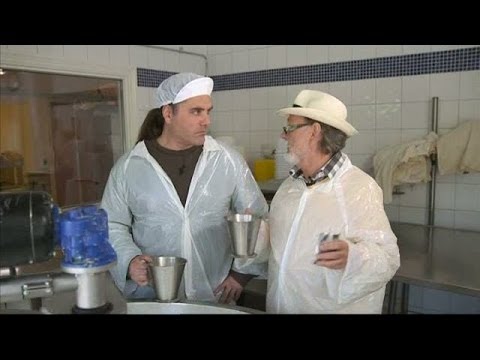 Mitt kök: Bengt och Bobbo gör ost - TV4