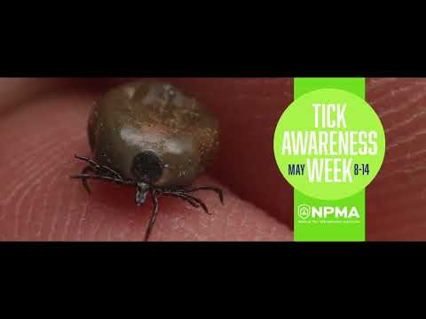 Beat the Tick Bites This Summer