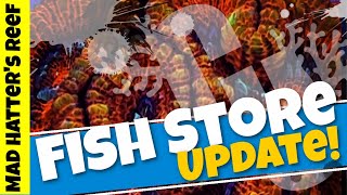 One Tank Sunday! Fish Store and More