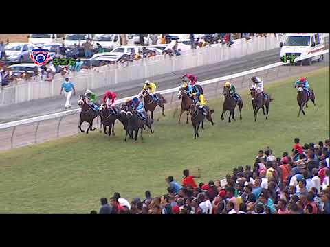 RACEMEETING 32 - RACE 06 - THE SWAN - DUKE OF YORK CUP  (LAST 300 M)
