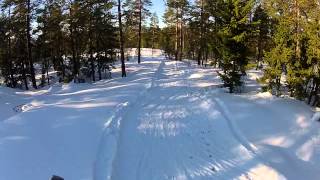 preview picture of video 'Sprint-SM i skidorientering på Skyttis i Örnsköldsvik, Markus actionkamera'