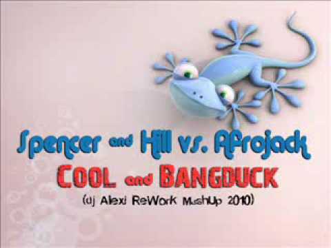 SPENCER & HILL VS.AFROJACK - Cool Bangduck (DJ Alexi ReWork 2010 Mashup)
