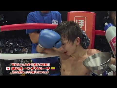 Ryoichi Taguchi  vs  Luis de la Rosa [2] 2015-12-31