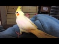 Loretta Films Magic S First Mary Poppins Whistling Along To Spoonful Of Sugar Song