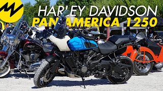 Pan America 1250 – Steckt in der ersten Reise-Enduro von Harley-Davidson echter Harley-Spirit?