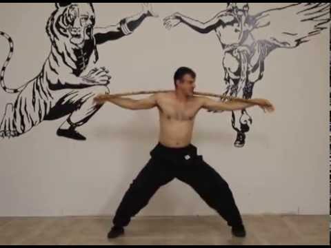 BRUCE LEES ONE INCH PUNCH