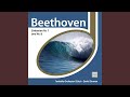 Symphony No. 7 in A Major, Op. 92: II. Allegretto