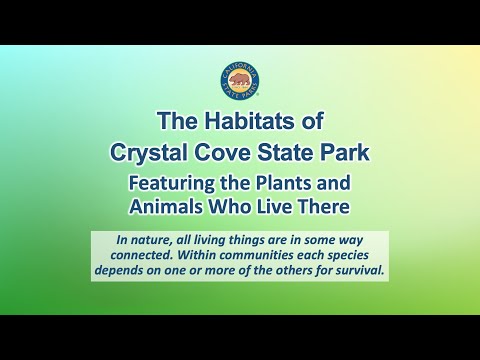 Habitats of Crystal Cove State Park