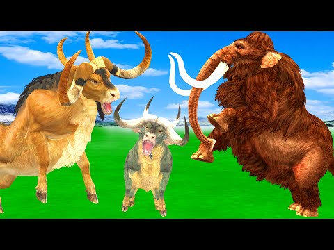Zombie Mammoth Vs Big Bulls Cartoon Cow Mammoth Vs Bull Animal Revolt Epic Battle