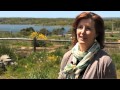 Jane Swan on Why She Supports Wood Prairie Family Farm