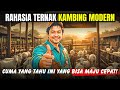 Tips For Successful GOAT FARMING In The Modern Era