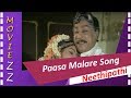 Paasa Malare Song Neethipathi Neethipathi