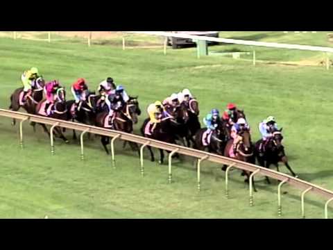 2004 Golden Slipper- Dance Hero