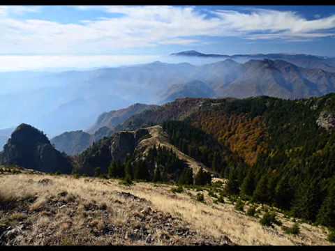 Toni Ursachi - Octombrie senin