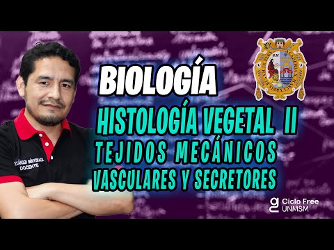 Histología vegetal II 🌿 [Ciclo FREE]