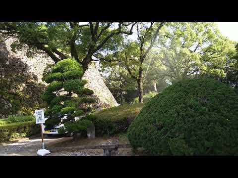 bonsai japan REARL Gardener's Works by 葛岡株式会社 ガーデンヒルズ 2022
