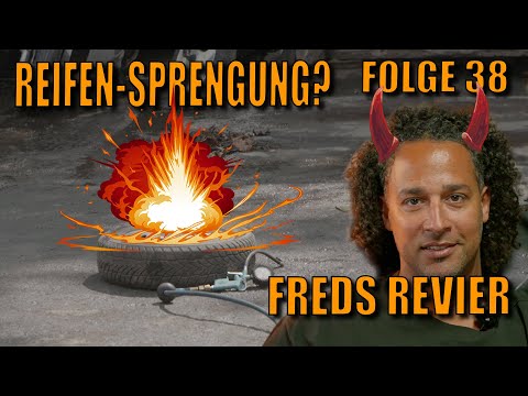 Ali Makes a Mess (Junkyard Experiment) | Fred's Territory Episode 38