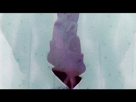 SEA | BREATHE (Official Video)