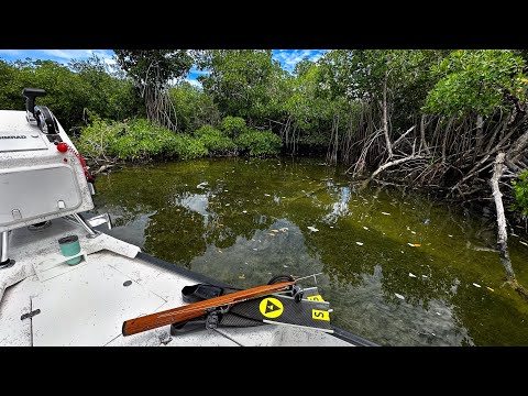 Master The Mangroves | Catch Clean Cook Leftovers