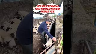 Download lagu Rahasia Berat di Balik Pekerjaan Seorang Gembala#viral #shorts mp3