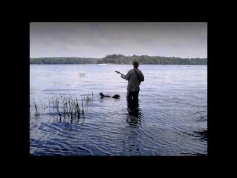 The Doug Markley Band Live at the Bandshell - last song "Mumbo Jumbo"