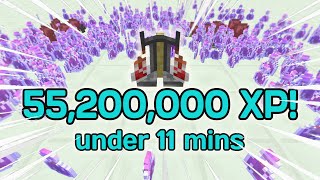 I Got Alchemy 50 In Under 11 Minutes (Speedrun) | Hypixel Skyblock