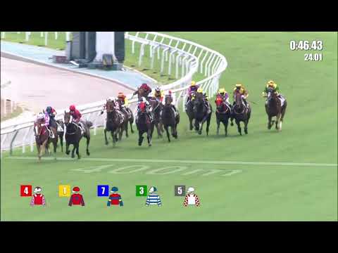 23/5/2021 (691) Drops Of God - J Moreira