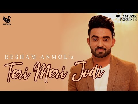 Teri Meri Jodi
