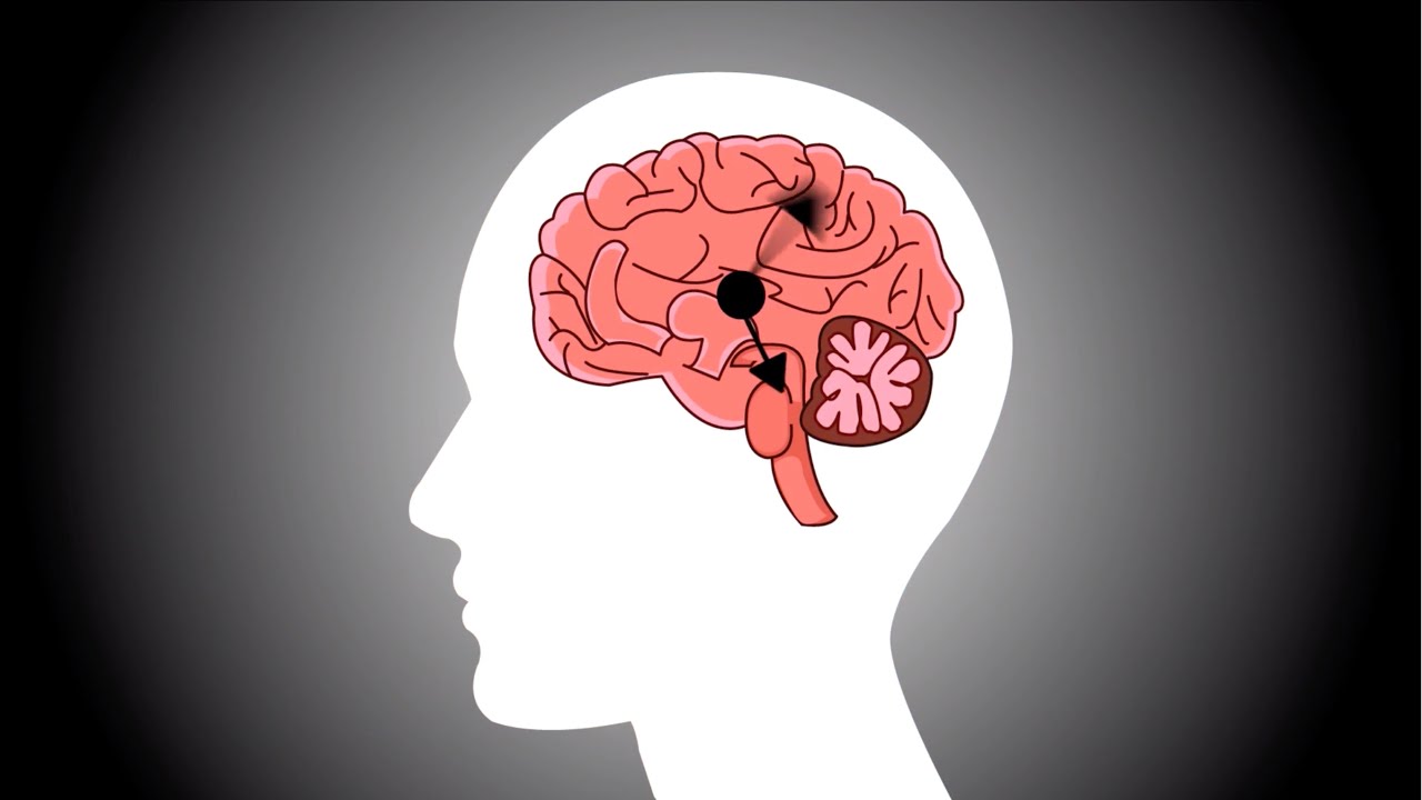 12 Billionaire Habits You NEED to Try