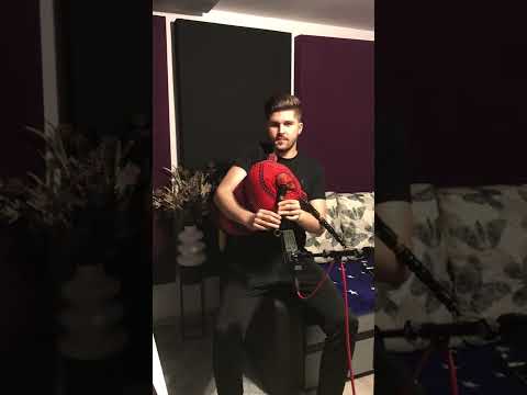 Teodor Geani Busnea - Studiu la cimpoi