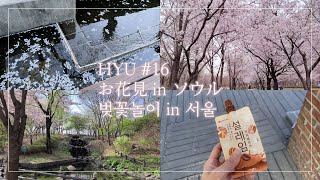 【한일 커플 日韓カップル Vlog】HYU #16 お花見inソウル,韓国留学,ソウル森,漢江,桜,お花見,春：꽃구경인서울,한국유학,벚꽃놀이,서울숲,선유도,봄