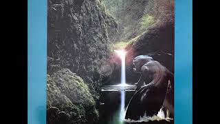 Mass Hypnosis - Djungle Flow (El Bruto Remix)