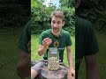 Macadamia nut video