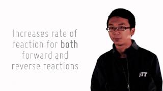 11 Effect of a Catalyst on Equilibrium