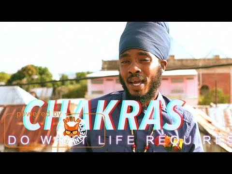 Vybrant - Chakras [Official Music Video HD]