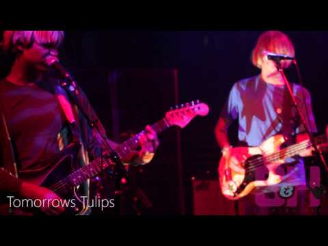 Tomorrow's Tulips - Flowers On The Wall (LIVE at Mrs. Fish)