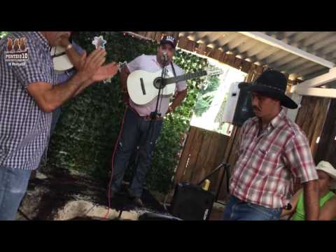 Luiz Fernando e João Pinheiro -  Cabelos cor de prata