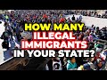 The Number of Illegal Immigrants in Every State in America