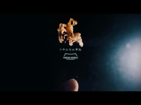 「マダム・ジョバンニのちいさな嘘」篇