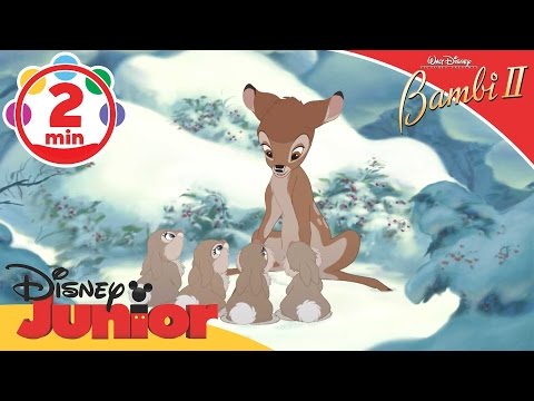Bambi II | Thumper's Little Sisters | @disneykids