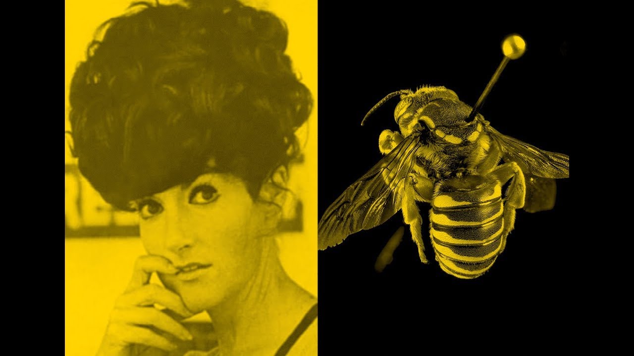 The Beehive | Zanny Begg