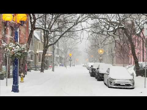 Winter SNOW STORM in Toronto Canada January 2026