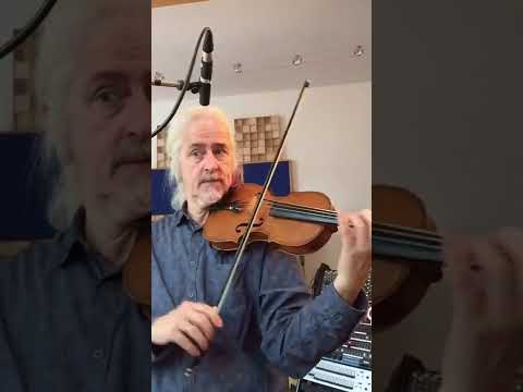 Is he playing "violin" or "fiddle"? Who cares? He's simply fantastic #violin #fiddle #folk #folkrock