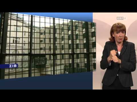 Zeit im Bild ÖGS Kritik an Prozess gegen deutschen WKR Demonstrant 2014 07 20 1930 tl 02 Zeit