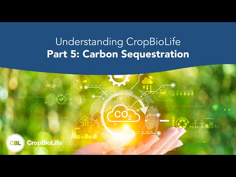 Understanding CropBioLife Part 5: Carbon Sequestration