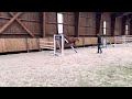 Castrone sBs Cavallo da Sport Belgio In vendita 2021 Sauro ,  Pégase van’t Ruytershof