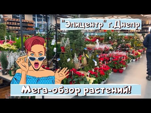 МЕГА-ОБЗОР РАСТЕНИЙ! Выбор нереальный! Шикарные цветы! Эпицентр г.Днепр.